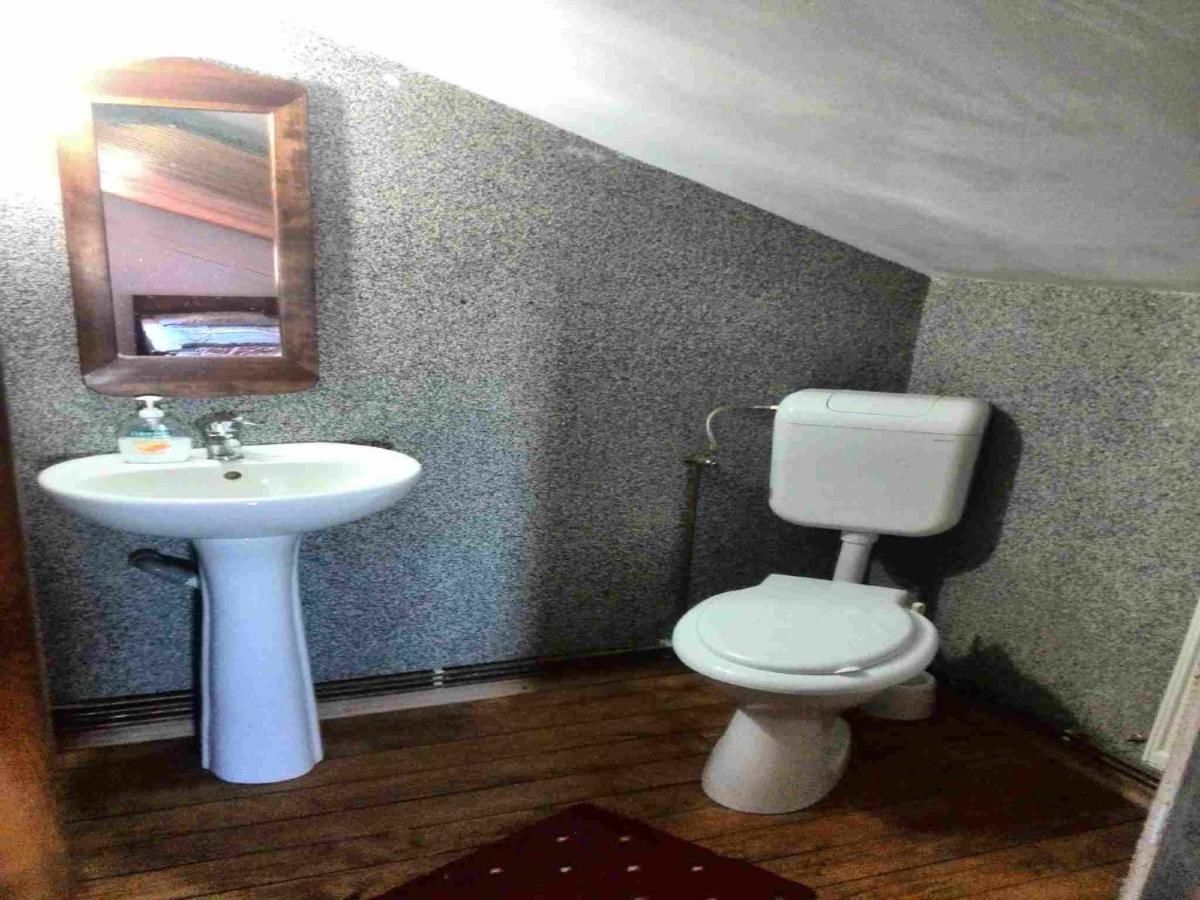 Гостевой дом Cabana (Andra) Semenic Семенич-42