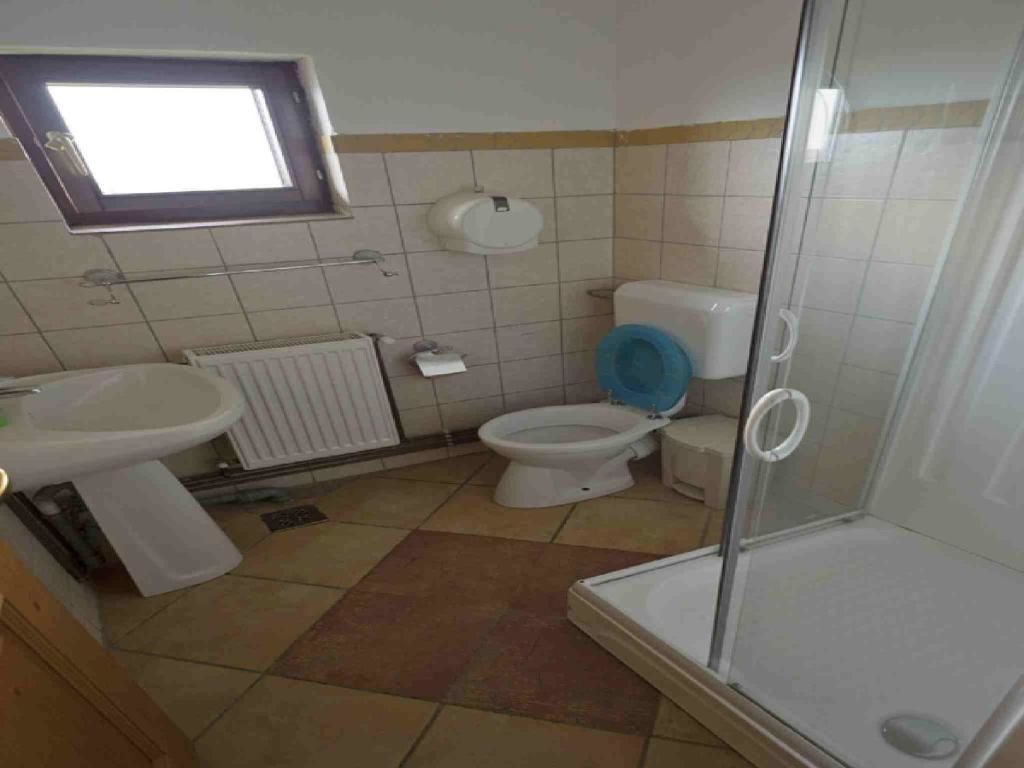 Гостевой дом Cabana (Andra) Semenic Семенич