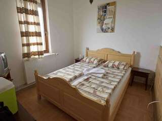 Гостевой дом Cabana (Andra) Semenic Семенич-4